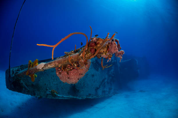 istock MV Captain Keith Tibbetts Shipwreck - Cayman Brac 1391097575