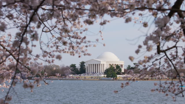 Tourists Visit Jefferson Memorial and Tidal Basin - Cherry Blossom Season - Washington, D.C.