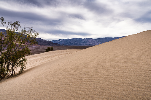 Panoramic view of Pinto Basin and Pinto Mountain in Joshua Tree National Park, Mojave Desert, California, USA