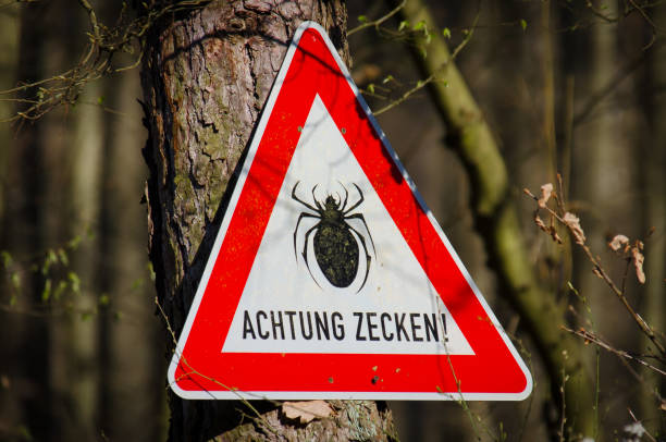 istock Warning sign against ticks 1391102358