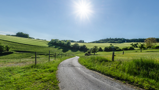Country road through green meadows in Wispertal in Taunus Mountains on a summer day