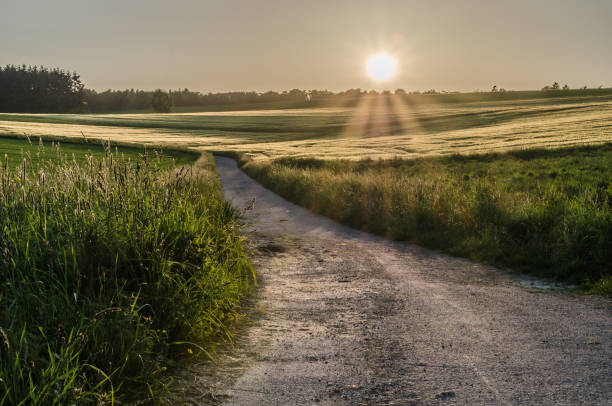 istock Dirt road, cycle path and hiking trail in Taunusstein 1391105552