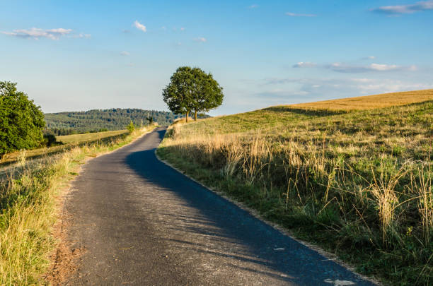 Ein einsamer Feldweg durch Wiesen in der Nähe von Taunusstein im Taunus zur Goldenen Stunde