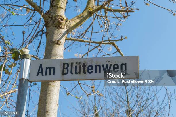 At The Flower Path German Am Bluetenweg Stock Photo - Download Image Now - Arrow Symbol, Blossom, Blue