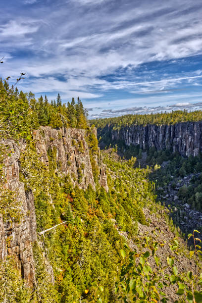 Thick vegetation grows on rocks carved during ice ages - Ouimet Canyon, Thunder Bay, ON, Canada