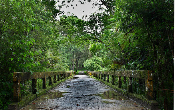 istock Waterfalls and Bridges 1391108772