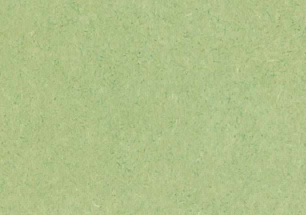 Green textured cardboard background stock photo