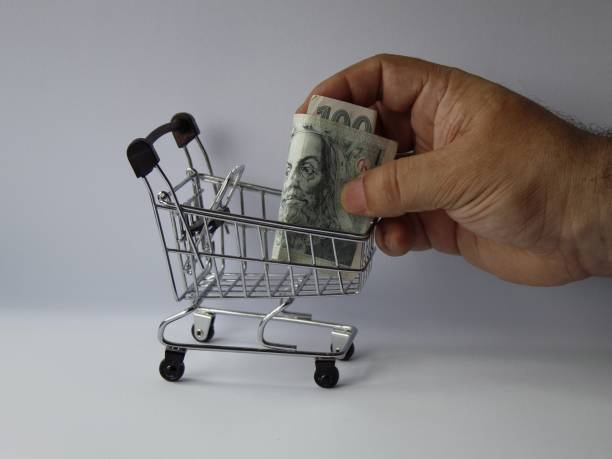 hand of a person putting Czech bill in a shopping cart