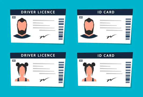 Vector illustration of Driver licence and id card set. Document persons. Vector modern cartoon illustration.