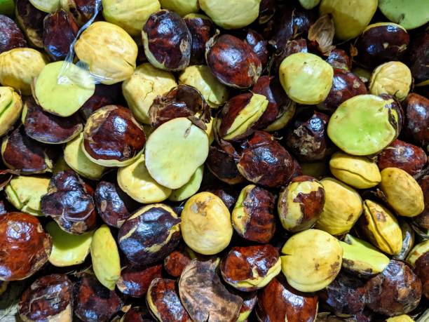 istock jengkol sold in the market 1391115723