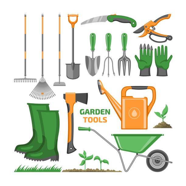 ilustraciones, imágenes clip art, dibujos animados e iconos de stock de herramienta de jardín vector equipo de jardinería rastrillo pala llana y regadera de jardinero granja colección ilustración agricultura conjunto de carretilla agrícola aislada sobre fondo blanco - trowel watering can dirt shovel