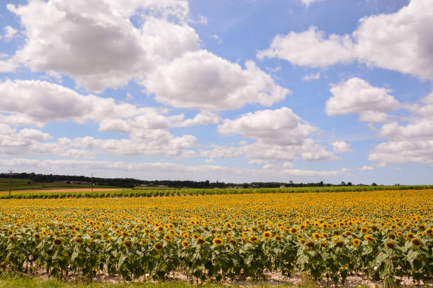 istock European natural countryside 1391118035