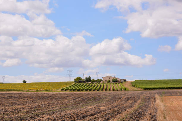 istock European natural countryside 1391118036