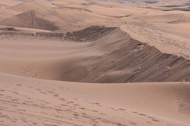 istock Desert with sand dunes in Gran Canaria Spain 1391118526