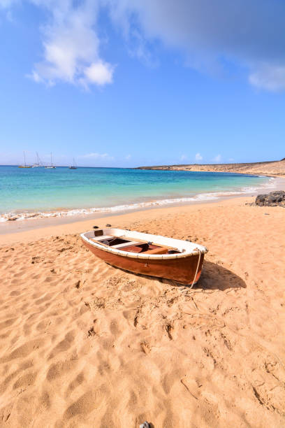 istock Landscape in Tropical Volcanic Canary Islands Spain 1391118594