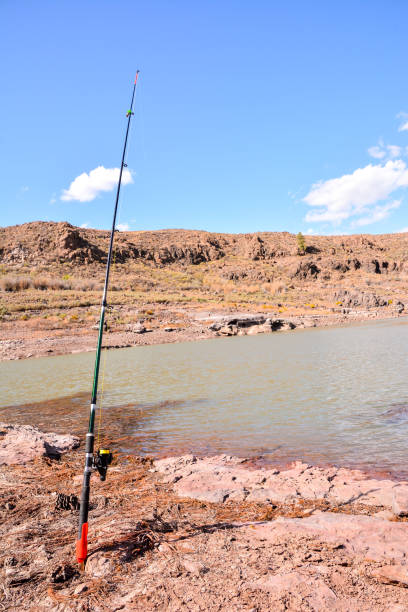 istock Fishing with rod on lake 1391118700
