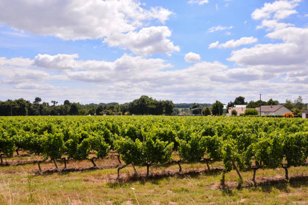 istock European natural countryside 1391119661
