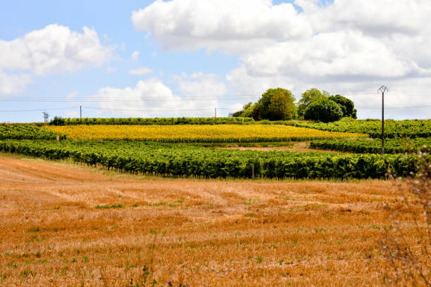 istock European natural countryside 1391119810