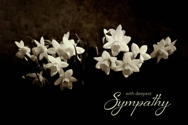 istock Sympathy card with daffodils isolated on black background 1391125459