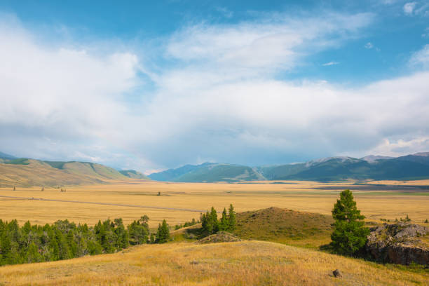 istock Dramatic view from forest to high mountain range in sunlight during rain in changeable weather. Colorful landscape with green forest and sunlit steppe against large mountains under cloudy sky in rain. 1391129581