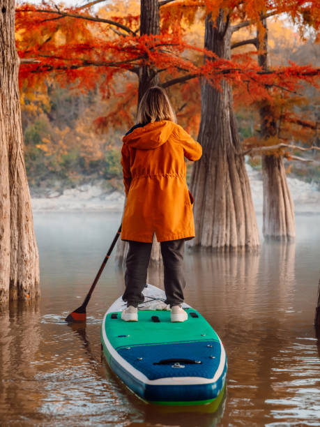 traveller on paddle board at the lake with taxodium trees. woman on sup board - lone cypress tree imagens e fotografias de stock