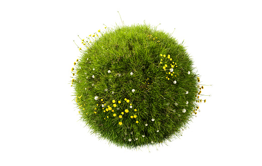 Grass circle, 3d render. Grass sphere with dandelions isolated on a white background