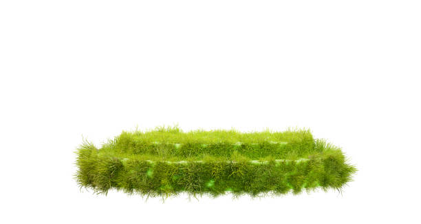 istock Grass podium, isolated on a white background. Grass circle, 3d rendering. 1391136198