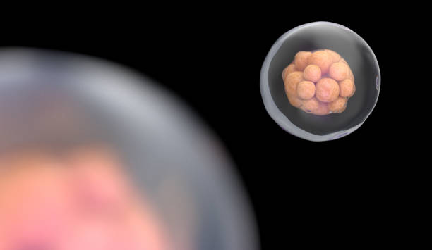 Insemination Sperm and Egg Cells. 3D Render