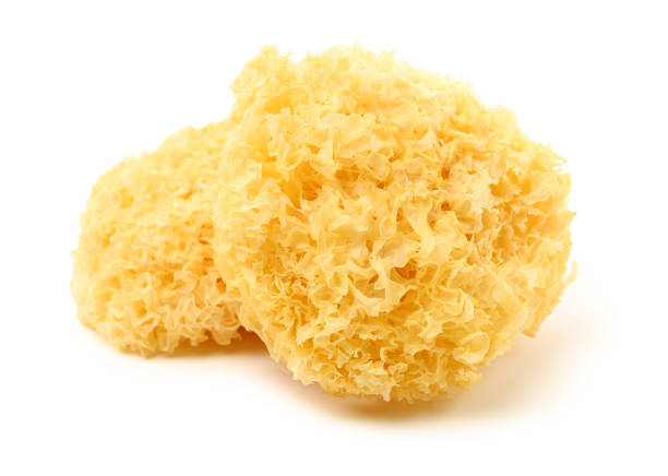 istock Tremella fuciformis 1391143580