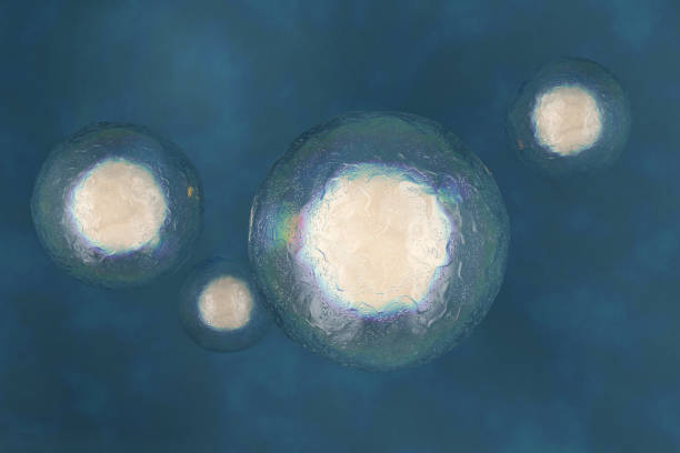 image détaillée des cellules souches - mitosis photos et images de collection