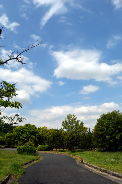 The changing seasons from spring to summer change the trees, flowers and sky.