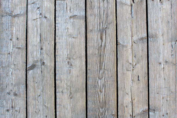 istock Texture old wooden rough board in gray color. 1391147013