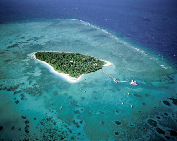 Green Island off the north Queensland coast. stock photo