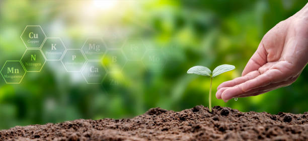 istock hands watering plants and trees growing on soil with eco concept plant growth factor icon earth day card protect environment to keep the earth clean 1391151907