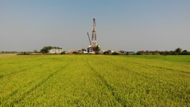 Oil drilling rig in the rice field