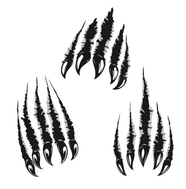 Vector illustration of Angry bear claw marks and scratches, animal attack