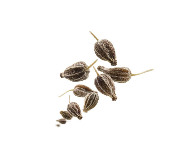 istock Anise seeds levitate on a white background 1391156877