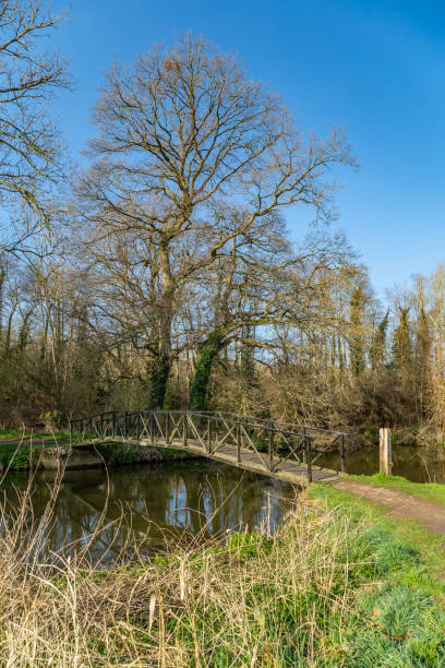 istock River Wey footbridge Surrey England 1391156938