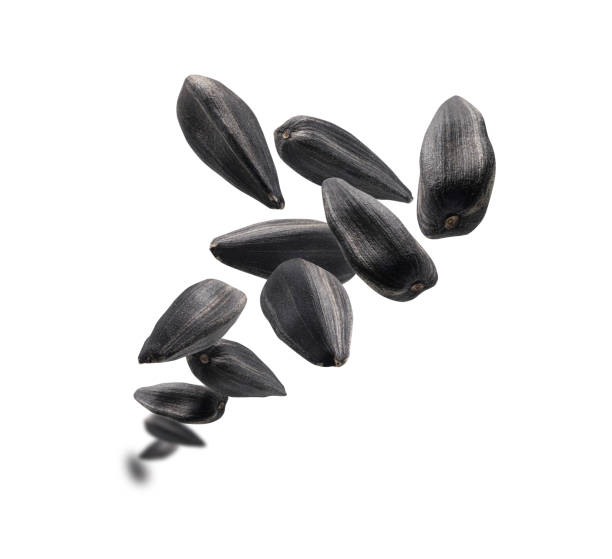 istock Sunflower seeds levitate on a white background 1391156970