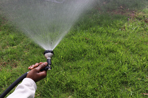 50 year old white farmer watering garden plants