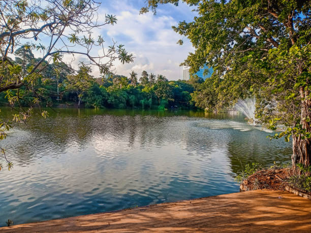 istock Hidden Place near The Lake 1391159236