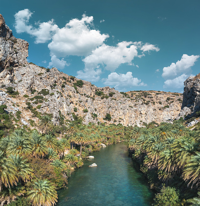 Famous Preveli gorge with river and palm tree forest (South Chania, Crete, Greece).