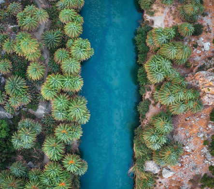 Aerial view of river and palm tree forest (Preveli gorge, South Chania, Crete, Greece).
