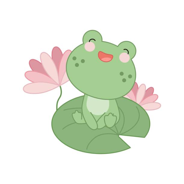 수련 잎에 앉아있는 귀여운 작은 개구리. - frog jumping pond water lily stock illustrations