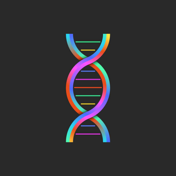 ilustrações de stock, clip art, desenhos animados e ícones de dna logo colorful gradient 3d logotype, deoxyribonucleic acid sign. the structure of the dna double helix genetic abstract symbol. - dna helix helix model symmetry