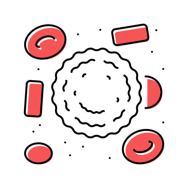 ilustrações de stock, clip art, desenhos animados e ícones de white blood cells color icon vector illustration - macrophage human immune system cell biology