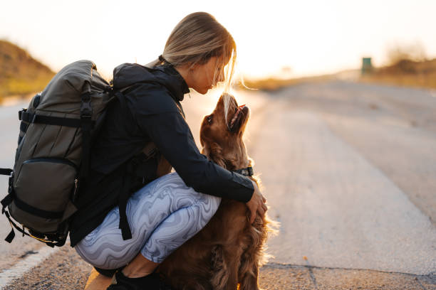 istock Dogs making world a better place 1391165380