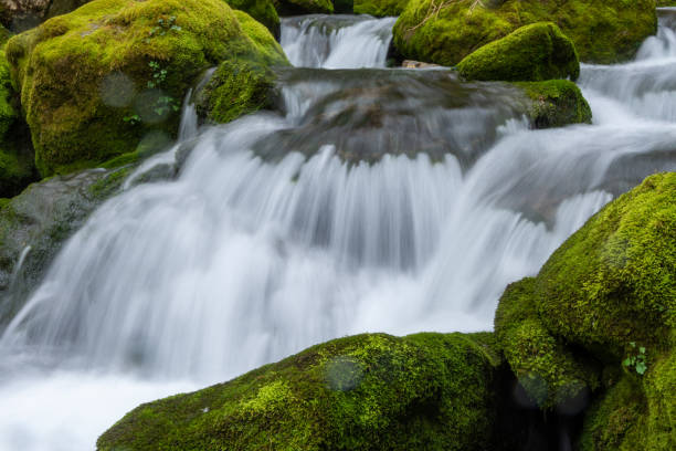 istock River of shaggy stones 1391166852