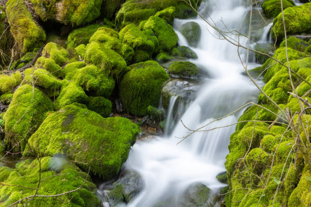 istock River of shaggy stones 1391166882