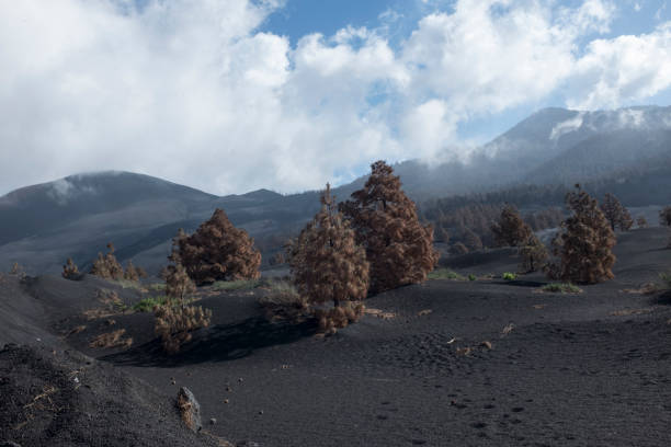 Eruption of Cumbre Vieja en la Palma, Canary Islands stock photo